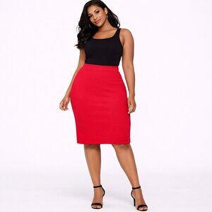 Iris. Elastic waist bodycon pencil burnt orange skirt Size: 2X
